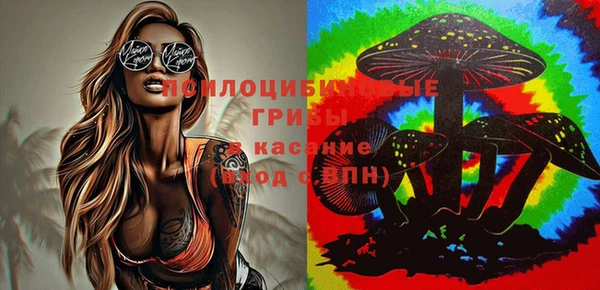бутират Костерёво