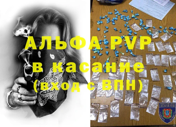 a pvp Коряжма