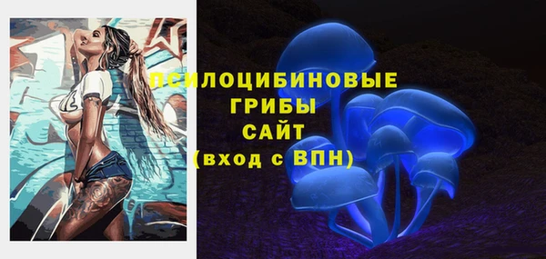 a pvp Коряжма